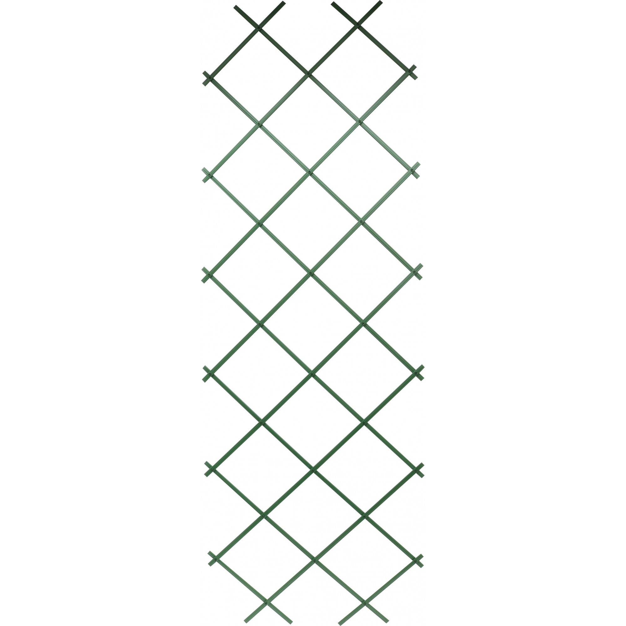 Wandspalier, 60 x 180 cm